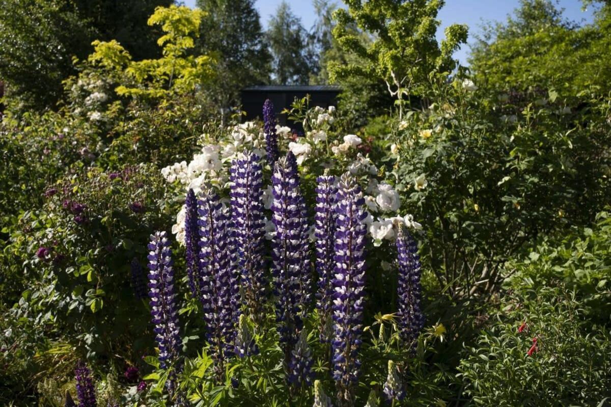 Vila Tiny Away Benger Garden 2 By Tiny Away Millers Flat Exteriér fotografie